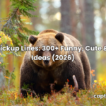 Bear Pickup Lines