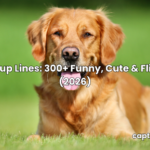 Dog Pickup Lines