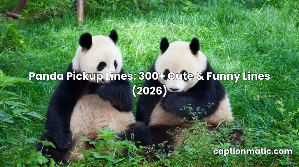 Panda Pickup Lines