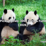 Panda Pickup Lines