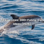 dolphin pickup lines