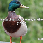 duck pickup lines