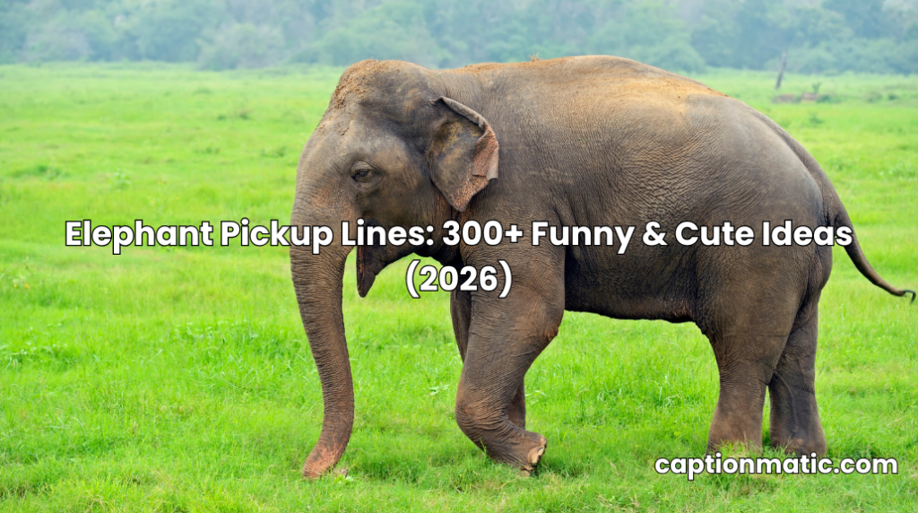 elephant pickup lines