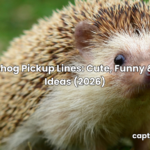hedgehog pickup lines