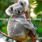 koala pickup lines