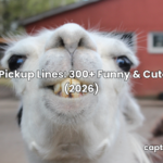 llama pickup lines