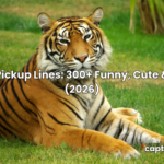 tiger pickup lines