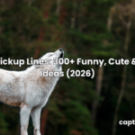 wolf pickup lines